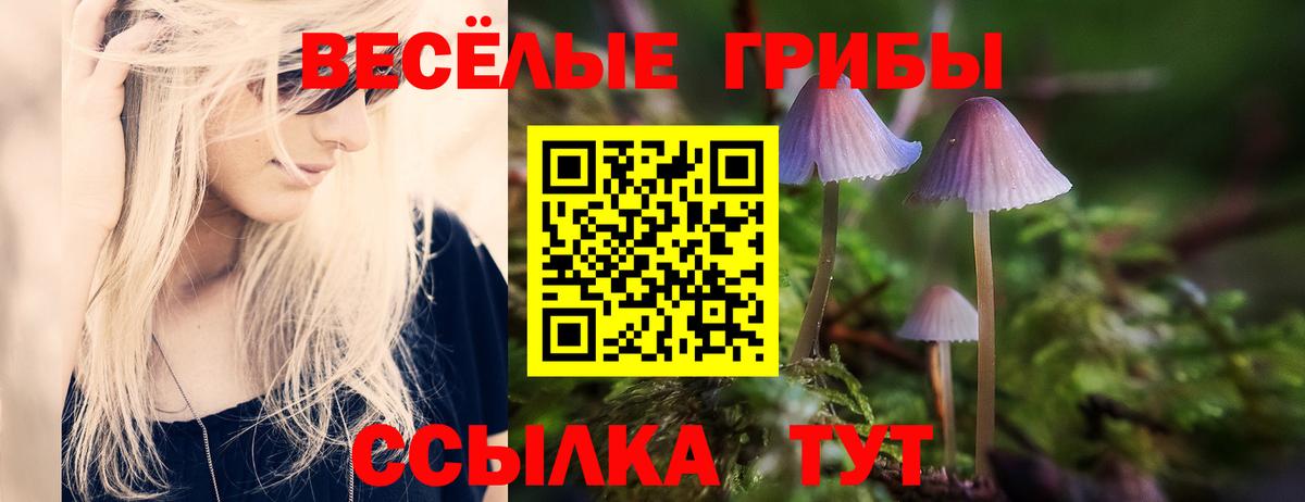 Галлюциногенные грибы прущие грибы Кашира